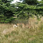 8 Person Holiday Home In Vaeggerlose * Bøtø By